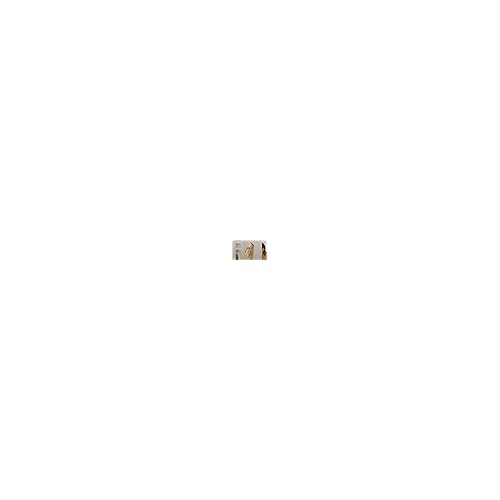 KERASILK Redensifying Scalp Serum, Strengthens Roots for Thinning Hair, 100 ml