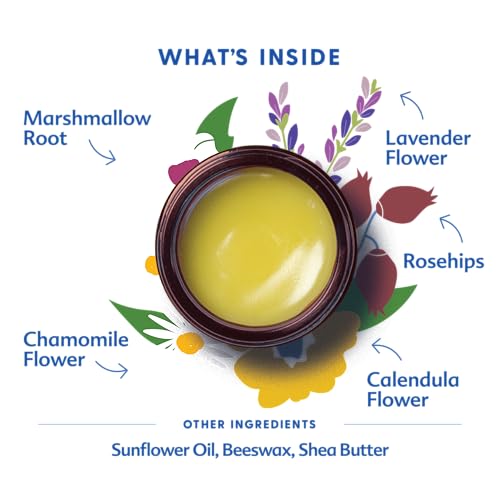 Motherlove Pregnant Belly Salve 4oz | Organic Stretch Mark Cream