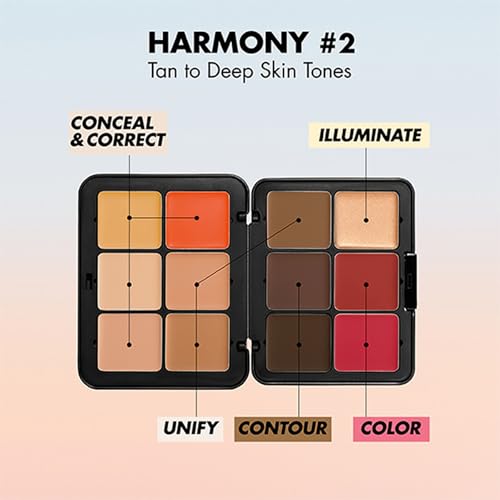 FantasyDay 12 Color Full Coverage Concealer Palette & 11 Brush Set