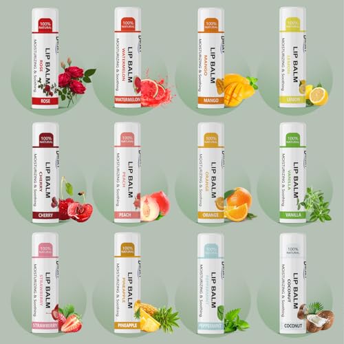 Dmsky Lip Balm Bulk - Fruit Variety Pack, Hydrating for Men, Women, Kids - 0.15 Oz, 360 Count