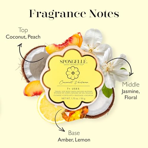 Spongellé Coconut Verbena Body Wash Sponge | Exfoliating Loofah