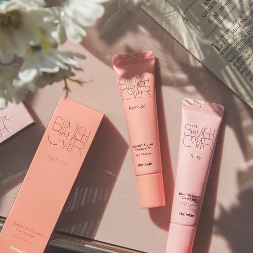 Hanskin Blemish Cover Rosy Full Coverage Concealer 12g