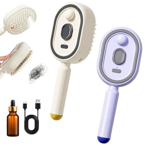 Electric Spray Hair Brush with Massage & Misting