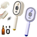 Electric Spray Hair Brush with Massage & Misting