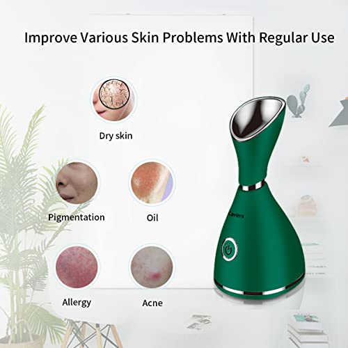 Nano Ionic Facial Steamer with Skin Care Kit