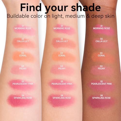 Tintark Cheeky Blush Pearlescent Pink Matte Powder