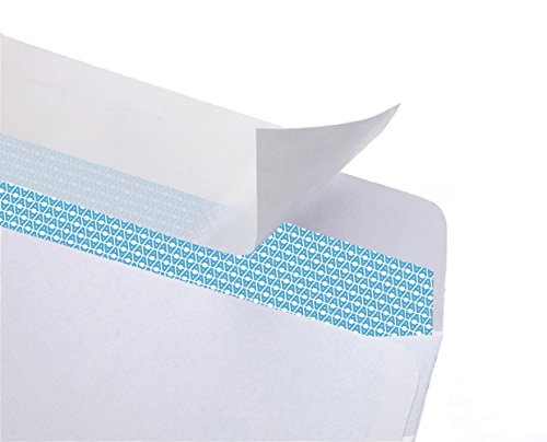 20#10 Security Tinted Self-Seal Envelopes - No Window, EnveGuard, Size 4-1/8 X 9-1/2 Inches - White - 24 LB - 20 Count (34120)