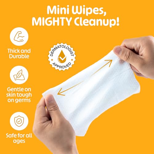 FOMIN Mini Travel Hand Sanitizer Wipes Variety Pack, 8 Pack, Alcohol-Free & Biodegradable