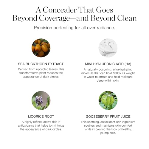 Ogee Complexion Perfecting Under Eye Concealer - Certified Organic Full Coverage Concealer - Buildable Coverage - BIRCH 0.25N - Fair (Neutral Undertones)