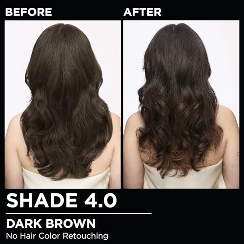 Garnier Olia Ammonia-Free Hair Color, Dark Brown 4.0 - 2 Count