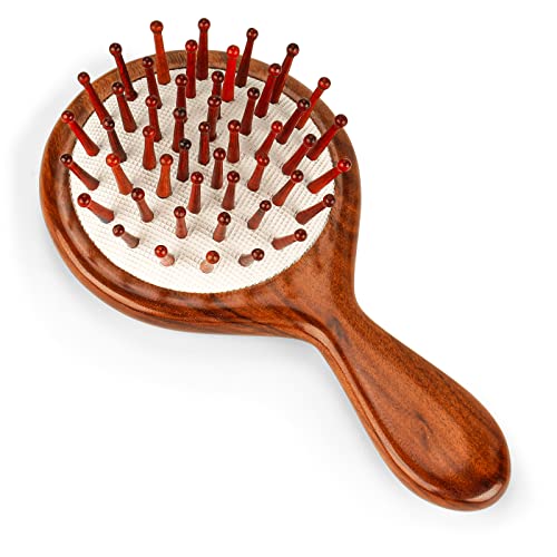 Nehzgnauh Hair Brush for Women - Wooden Massage Brush, Scalp Stimulating, For Dry/Wet & All Hair Types (Small, Brown)