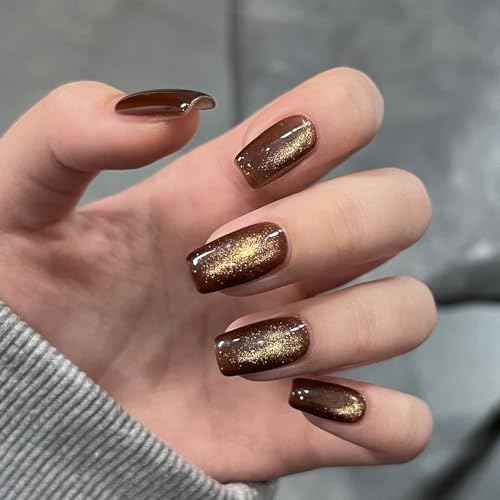 GAOY Jelly Brown Cat Eye Gel Nail Polish, 16ml Glitter Holographic Nail Polish with Magnet, Reflective Translucent UV Gel, 3010 Cocoa Depth