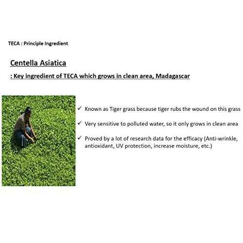 DONGKOOK CENTELLIAN 24 Micro Serum 50ml/1.69fl oz with TECA Tech. K-beauty#