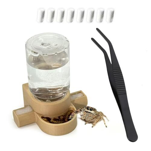 Magnetic Jumping Spider Water Dispenser & Feeder with Tweezers