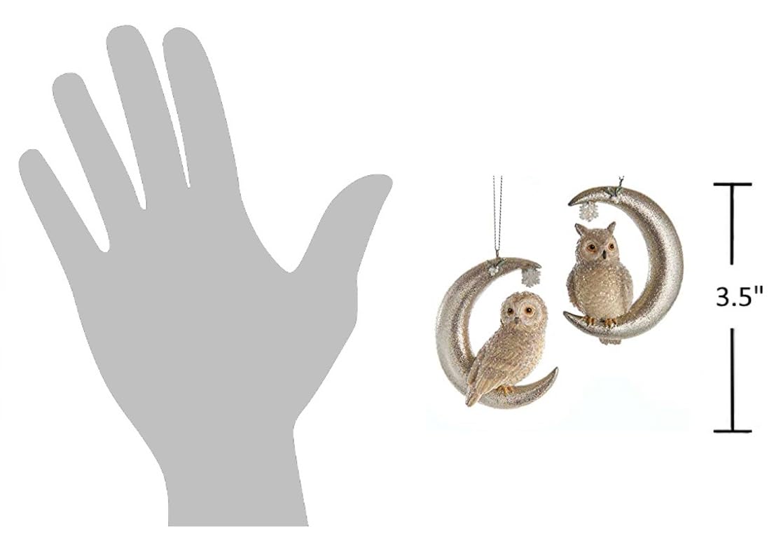 The Bridge Collection Owl Perched on Moon Ornaments- Set of 2 Birds on Crecent Moons - Animal Christmas Ornaments - Lunar Owls Ornaments