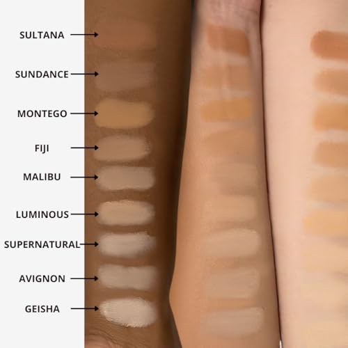Honeybee Gardens Pressed Mineral Powder Foundation Refill, Avignon, Pale Light Neutral Shade, Adjustable Coverage, Natural Finish, With Botanical Extracts And Vitamin E, 7.5g