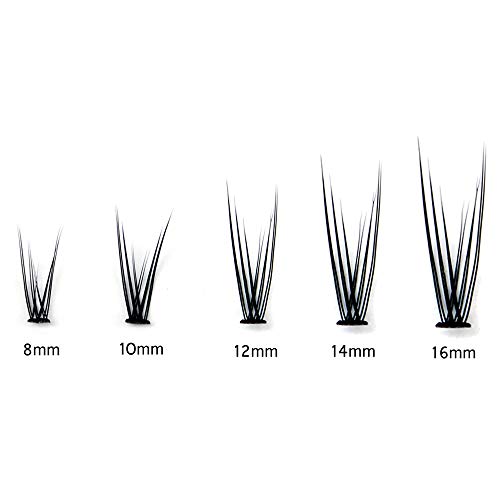 Bodermincer 12D Fishtail Lash Clusters D Curl 120pcs Natural Wispy Eyelashes Extensions (14mm)