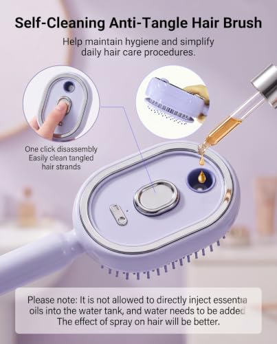 Rechargeable Steam Hair Brush - Detangling Straightener