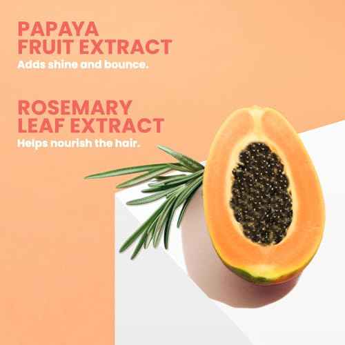 ELEVEN AUSTRALIA Miracle Hair Treatment Conditioner for Women & Men - Moisturizing Conditioner for Dry Damaged Hair, Reduces Frizz & Split Ends, Deep Moisture & Hydration, Sulfate Free - 10.1 fl oz