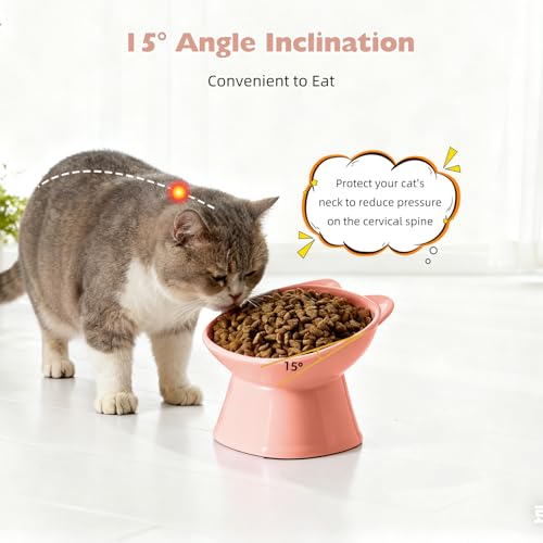 KSIA Elevated Cat Bowls 2 Pack, 15° Tilted Whisker Friendly