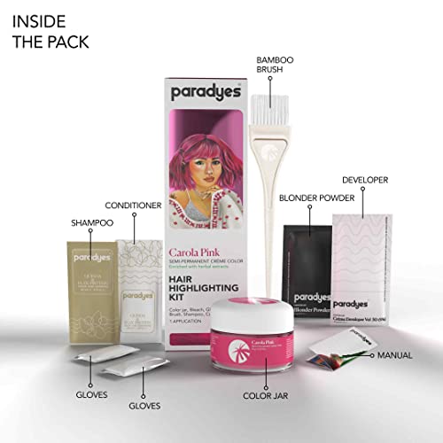 Paradyes Ammonia-Free Pink Semi-Permanent Hair Color Kit