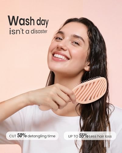 AIMIKE LuxeSilk Detangling Hair Brush - Wet & Dry Tangle-Free, Gentle on Scalp