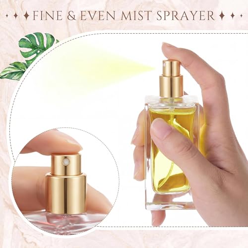 Teenyyou 6 Pack 50ml Empty Refillable Perfume Bottles with Gold Lid