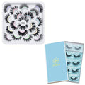 DYSILK Mink Eyelashes Faux 6D Natural Volume False Eyelashes 5 Pairs and Mink Lashes Faux 10 Styles Mixed Fake Lahses
