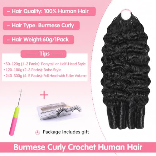 CanaryFly Burmese Curly Crochet Hair 18 Inch 1B Natural Black Pre-Separated, Reusable Human Hair Extensions for Black Women