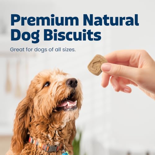 Blue Buffalo Health Bars Pumpkin & Cinnamon Dog Biscuits 16 oz