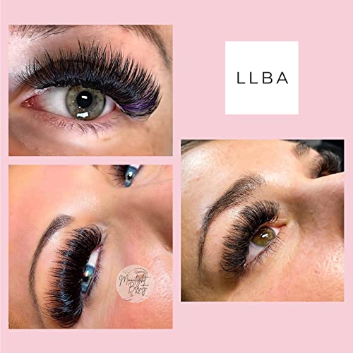 LLBA Promade Fans | Handmade Volume Eyelashes | Multi Selections From 3D To 16D | C CC D DD L M Curl | Thickness 0.03 ~ 0.1 mm | 8 - 20mm Length | Long Lasting | Easy Application (12D-0.03 CC 12 mm)