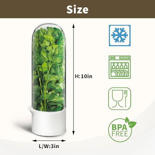 UEOZ 3PCS Herb Keeper for Refrigerator - Fresh Cilantro & Vegetable Storage Container Set