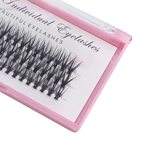20D Cluster False Eyelashes 0.07mm C Curl 16mm Mink