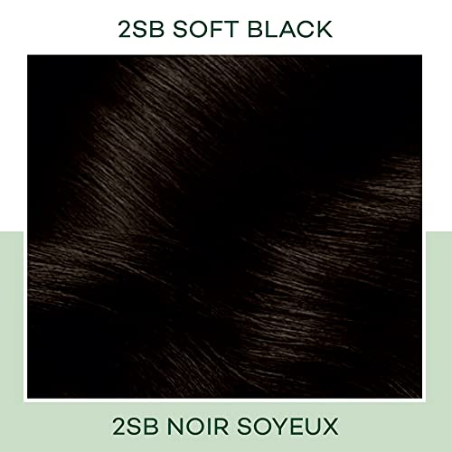 Clairol Natural Instincts Demi-Permanent Hair Dye, 2SB Soft Black Hair Color, Pack of 1