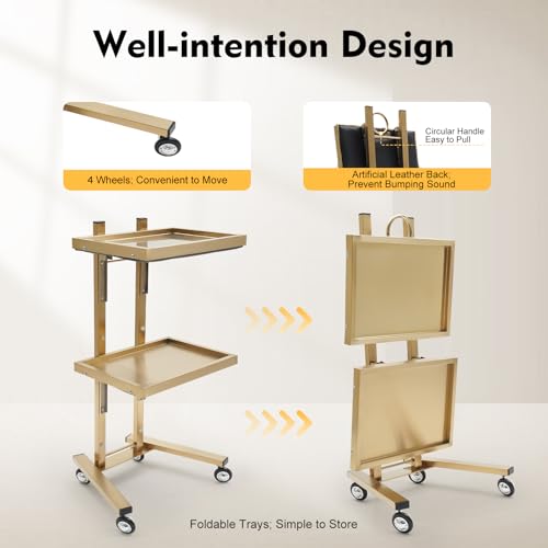 2-Tier Stainless Steel Salon Cart with Wheels