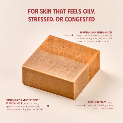 Turmeric & Bitter Melon 2-in-1 Luxurious Natural Soap Bar | Pack of 3 | Refreshing Cleanse for Sweat, Oil & Buildup | Cooling Lemongrass Peppermint | Cold Process | Handmade in Vietnam