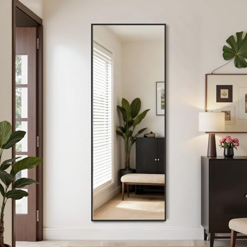 Suidia 48"x14" Full Length Mirror - Over Door & Wall Mounted