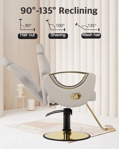 Salon Barber Chair with Heavy Duty Hydraulic Pump, Gray Gold