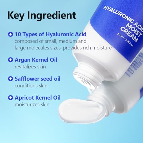 ISNTREE Hyaluronic Acid Moist Cream 100ml, 3.38 fl.oz | Balances Oil & Moisture | Deep moisturizer