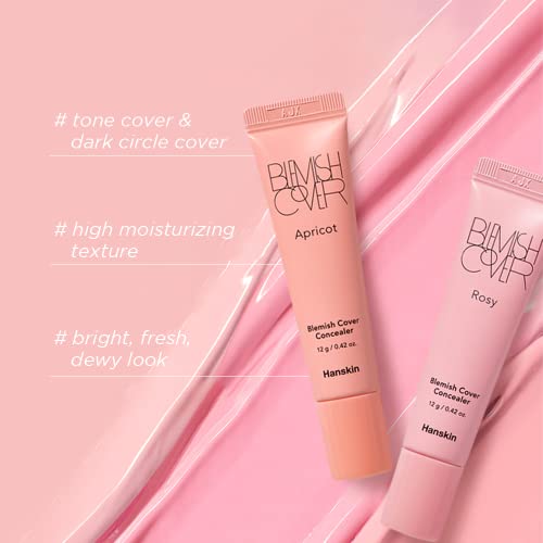 Hanskin Blemish Cover Rosy Full Coverage Concealer 12g