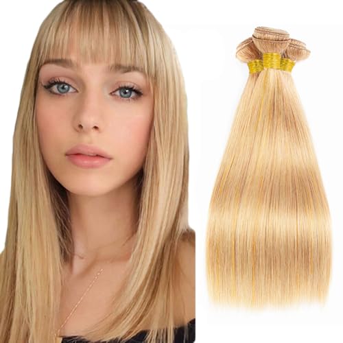 Fridnae 3-Pack Brazilian Virgin Remy Straight Hair Bundles Ombre Blonde 18-22 Inch