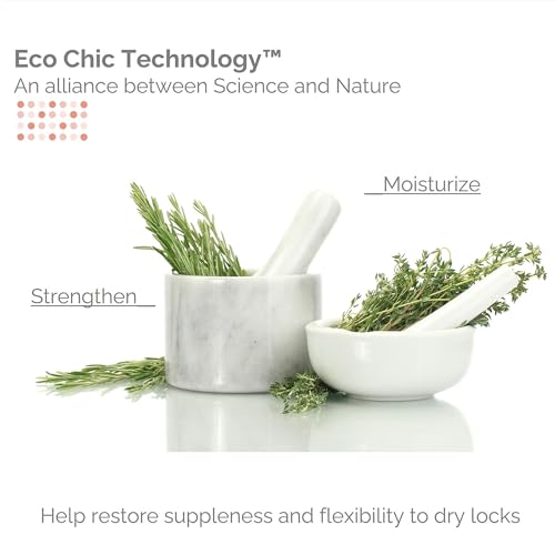 GIOVANNI ECO CHIC 50:50 Balanced Hydrating Calming Conditioner - Leaves Hair pH Balanced, Ideal for Over-Processed, Environmentally Stressed Hair, No Parabens, Color Safe, Sulfate Free - 8.5 oz