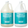 Ginger Lily Farms Salon Formula 100% Pure Morocco Argan Oil Shampoo + Conditioner Bundle, 1 Gallon Each