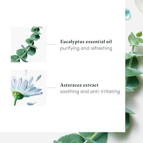 Rene Furterer Head Spa ASTERA Soothing Concentrate, Pre-Shampoo Soothing Scalp Treatment, Soothe Sensitive Scalps - Mint & Eucalyptus - Paraben & Silicone-Free - 1.6 Oz