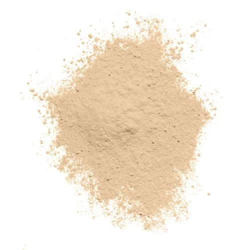 COVERGIRL Professional Loose Finishing Powder Translucent Fair 0.7oz