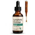Lymphatic Drainage Drops – Alcohol-Free, Vegan Liquid