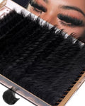 260D Fluffy Lash Clusters 12-24mm D Curl Faux Mink