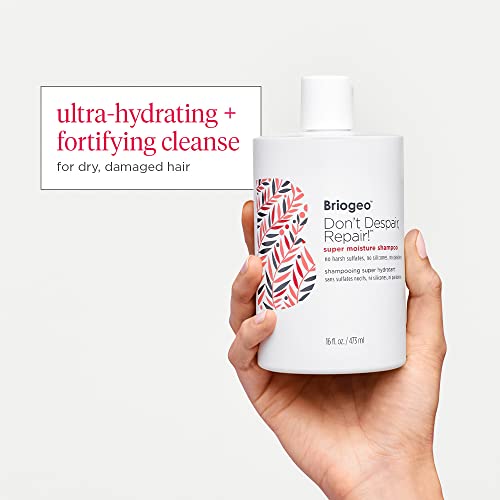 Briogeo Don't Despair, Repair! Super Moisture Shampoo, Dry Damaged Hair, Hair Shampoo with Argan Oil for Hair, Hair Moisturizer Hair Treatment, Protein Shampoo, Vegan, Cruelty-Free