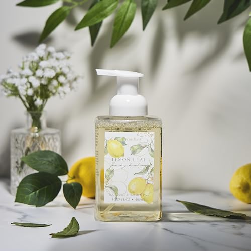 Set of 4 480ml Rectangle Foaming Soaps - Lemon Leaf, Sun Picked Orange, Eucalyptus Mint, and Fresh Basil