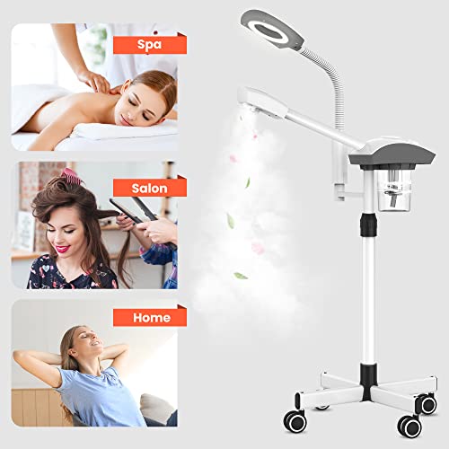 Professional 2-in-1 Facial Steamer with 3X Magnifying Lamp
